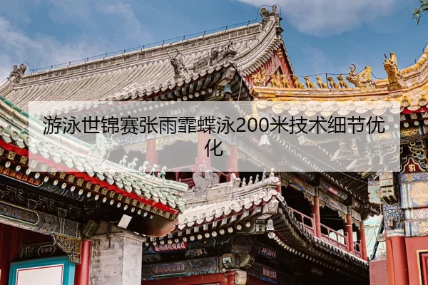 you-yong-shi-jin-sai-zhang-yu-fei-die-yong-mi-ji-shu-xi-jie-you-hua-2-459.jpg